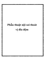 Phẫu thuật nội soi thoát vị đĩa đệm pot