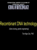 Molecular Biotechnology-Lession 2: Recombinant DNA technology docx