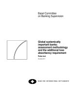 Global systemically important banks: assessment methodology and the additional loss absorbency requirement docx