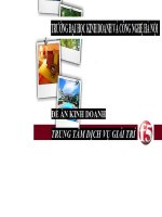 Đề án kinh doanh Trung tâm dịch vụ giải trí F5 potx