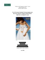 CAN LUXURY GOODS CONGLOMERATES SUSTAIN ABOVE-NORMAL RETURNS? THE GUCCI GROUP CASE docx