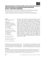 Báo cáo khoa học: Characterization of testis-speciﬁc serine–threonine kinase 3 and its activation by phosphoinositide-dependent kinase-1-dependent signalling doc