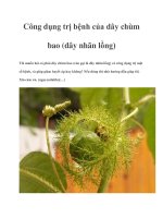 Công dụng trị bệnh của dây chùm bao (dây nhãn lồng) docx