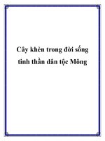Cây khèn trong đời sống tinh thần dân tộc Mông doc