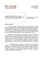 REPORT ON OBSERVATIONS OF PCAOB INSPECTORS RELATED TO AUDIT RISK AREAS AFFECTED BY THE ECONOMIC CRISIS pot