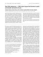 Báo cáo khoa học: Plant DNA polymerase k, a DNA repair enzyme that functions in plant meristematic and meiotic tissues docx