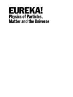 Physics of particles matter and the universe   blin stoyle