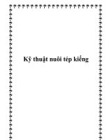 Kỹ thuật nuôi tép kiểng potx