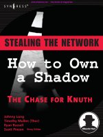 stealing the network - how to own a shadow