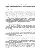 Câu 2: Mối quan hệ giữa phát triển kinh tế là trung tâm, xây d ựng chỉnh đốn Đảng là then chốt với phát triển văn hóa - n ền tảng tinh th ần của xã hội docx