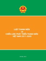 LUẬT THANH NIÊN và CHIẾN LƯỢC PHÁT TRIỂN THANH NIÊN VIỆT NAM 2011-2020 pptx