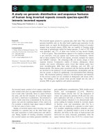 Báo cáo khoa học: A study on genomic distribution and sequence features of human long inverted repeats reveals species-speciﬁc intronic inverted repeats pptx