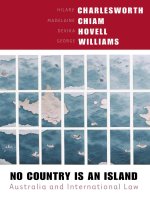 NO COUNTRY IS AN ISLAND docx