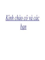 khoai tây chiên ppt