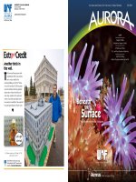 BENEATH THE SURFACE - NEW DISCOVERIES IN THE ALEUTIANS pptx