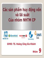 Các sản phẩm huy động vốn và lãi xuất của nhóm ngân hàng thương mại cổ phần