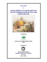 DEVELOPMENT OF GUIDELINES FOR WATER CONSERVATION IN PULP AND PAPER SECTOR doc