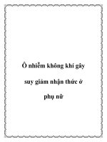 Ô nhiễm không khí gây suy giảm nhận thức ở phụ nữ potx