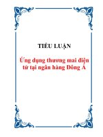 TIỂU LUẬN: Ứng dụng thương mai điện tử tại ngân hàng Đông Á potx