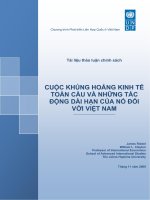 Cuộc khủng hoảng kinh tế toàn cầu và những tác động dài hạn của nó đối với Việt Nam pot