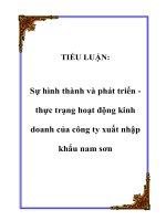 TIỂU LUẬN: Sự hình thành và phát triển thực trạng hoạt động kinh doanh của công ty xuất nhập khẩu nam sơn pptx
