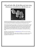 Kết quả bước đầu về hệ thống nuôi luân trùng (Brachionus rotundiformis) mật độ siêu cao pptx