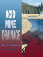 Mining &Water Pollution Issues in BC docx