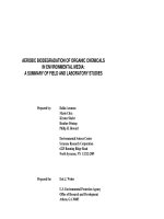 AEROBIC BIODEGRADATION OF ORGANIC CHEMICALS IN ENVIRONMENTAL MEDIA: A SUMMARY OF FIELD AND LABORATORY STUDIES pot