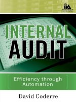 INTERNAL AUDIT: Efficiency through Automation docx