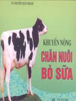 khuyến nông chăn nuôi bò sữa