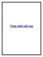 Vàng sánh mật ong potx