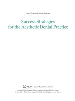 Success Strategies for the Aesthetic Dental Practice pptx
