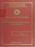 phát triển các dịch vụ giá trị gia tăng của viettel tại thị trường việt nam