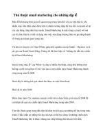 Thủ thuật email marketing cho những dịp lễ docx