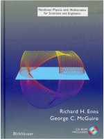 Nonlinear physics with mathematica for scientists and engineers   r  ennis, g  mcguire