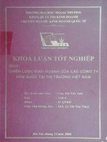 khóa luận tốt nghiệp chiến lược kinh doanh của các công ty hàn quốc tại thị trường việt nam