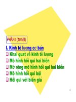 Kinh tế lượng cơ bản doc