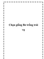 Chọn giống Bơ trồng trái vụ docx