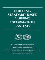 TUILDING STANDARD-BASED NURSING INFORMATION SYSTEMS docx