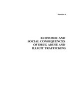 ECONOMIC AND SOCIAL CONSEQUENCES OF DRUG ABUSE AND ILLICIT TRAFFICKING doc