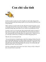 Con chó xấu tính potx