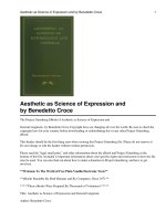 Aesthetic as Science of Expression and General Linguistic doc
