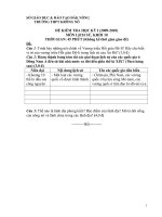 ĐỀ KIỂM TRA HỌC KỲ I (2009-2010) MÔN LỊCH SỬ, KHỐI 10 TRƯỜNG THPT KRÔNG NÔ pptx