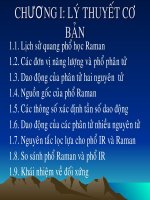 Cơ sở lí thuyết sinh học: lý thuyết cơ bản