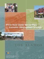 White Rock Center Master Plan/ Economic Development Strategy pot