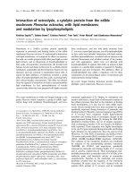 Báo cáo khoa học: Interaction of ostreolysin, a cytolytic protein from the edible mushroom Pleurotus ostreatus, with lipid membranes and modulation by lysophospholipids pptx