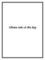 Album ảnh cá đĩa đẹp pot