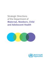 Strategic Directions of the Department of Maternal, Newborn, Child and Adolescent Health ppt