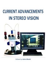 Current Advancements in Stereo Vision pptx