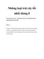 Những loại trái cây tốt nhất tháng 8 pdf